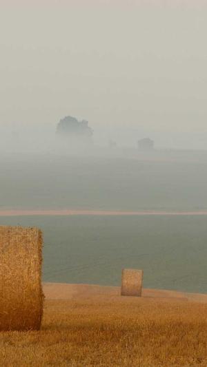 冒险岛贝勒德前置任务截图1