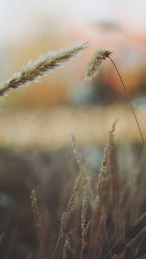 冒险岛2018平民装备截图2