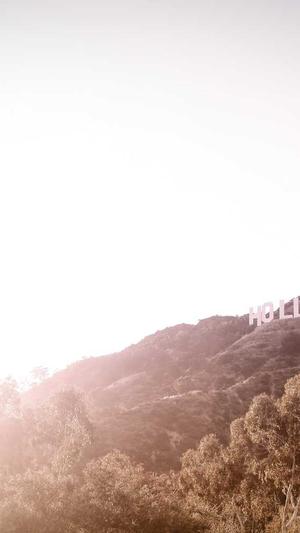 冒险岛金色枫叶徽章截图2