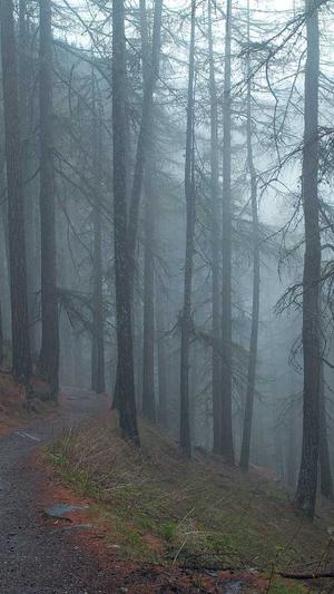 冒险岛伴侣下载截图3