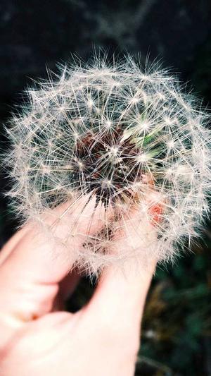 迷失传奇发布网截图3