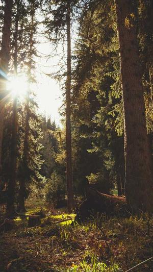 dnf加速器官方下载截图1