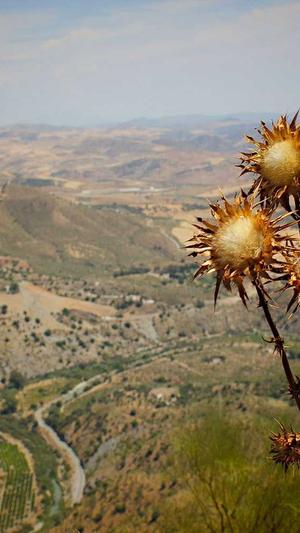 dnf官方论坛截图1