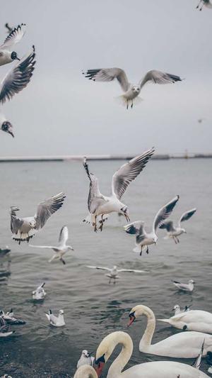 乞丐皇帝传奇截图3