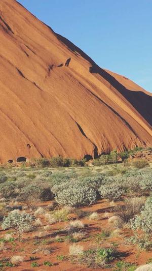 传奇合击私服网截图1