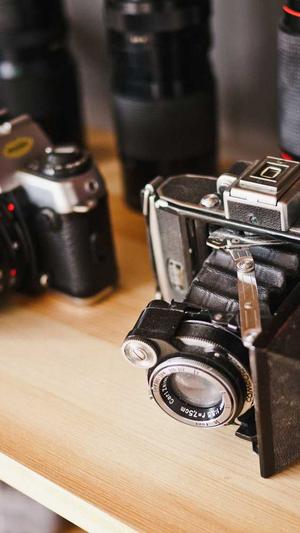 凤凰传奇歌曲截图1