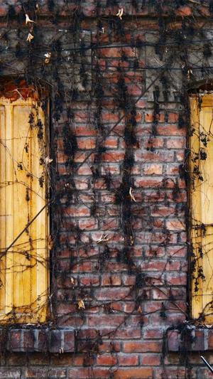 冒险岛私服发布截图3