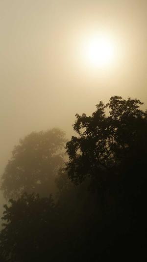 少林寺传奇截图3