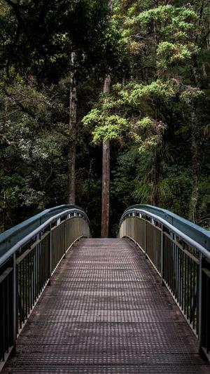 冒险岛起源之塔截图1