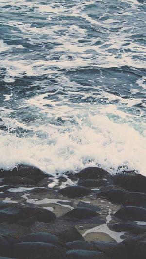 冒险岛蘑菇仔哪里多截图5