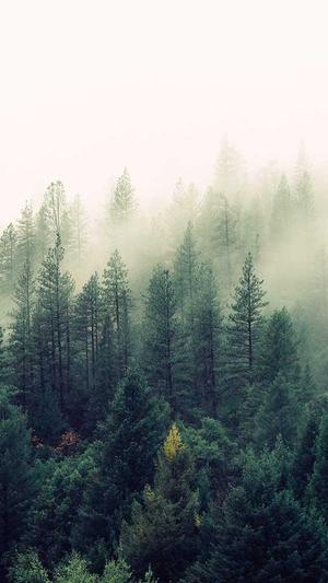 多玩dnf盒子截图2