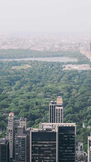 冒险岛浓姬截图2