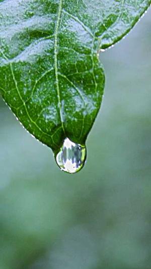 176传奇私服截图3