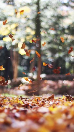 新开传奇私服合击版截图2