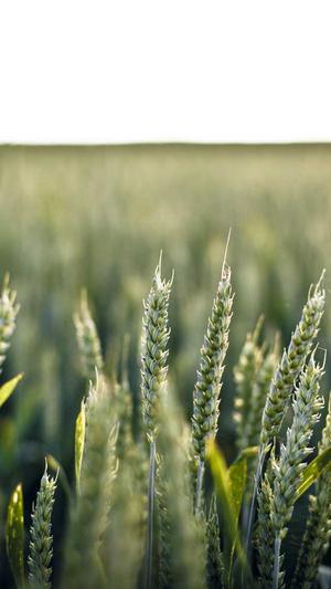 dnf怎么退工会截图3