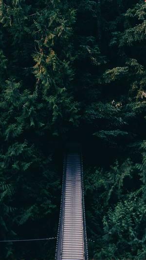 dnf卡片大全截图4