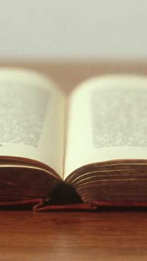 sf传奇网站截图3