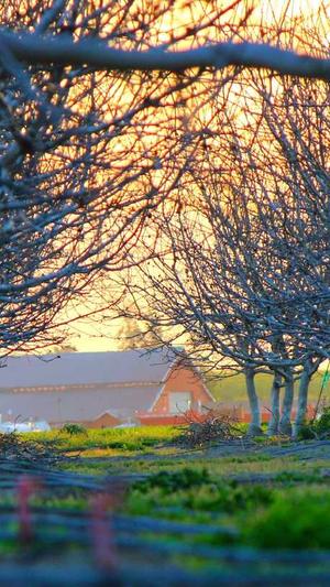 冒险岛任务攻略大全截图1