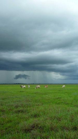 梦幻西游2私服版截图5