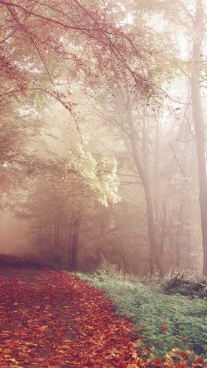 传奇私服1.76精品截图1