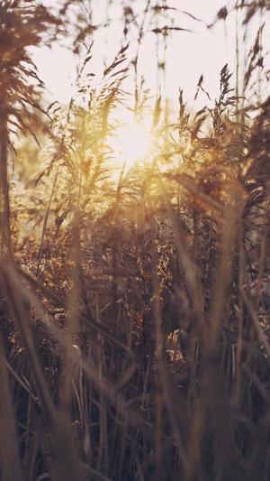 刚开一秒中变传奇截图3