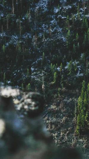 梦幻西游无双私服截图3