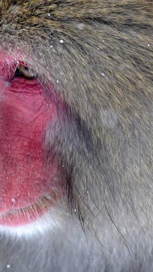 dnf快速升级截图1