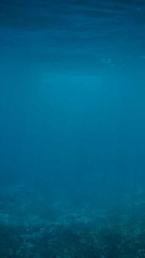 冒险岛5转任务截图4