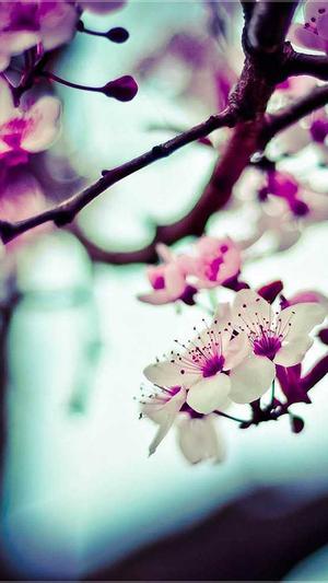 dnf红字装备截图4