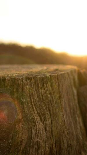 冒险岛恶魔猎手加点截图3