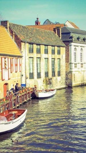 冒险岛蘑菇仔哪里多截图2