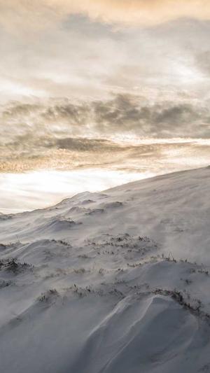 类似冒险岛网络游戏截图1