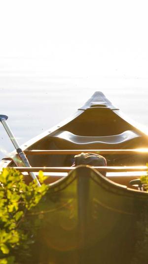 奥特曼传奇英雄截图2