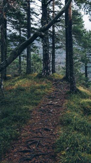 dnf加速器官方下载截图4