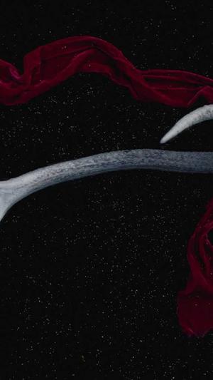 冒险岛宠物自动加血怎么设置截图2