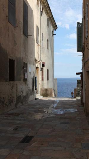 冒险岛宠物训练技能截图3