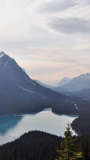 dnf武器锻造截图4