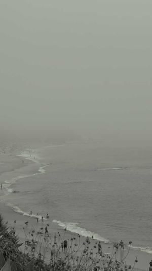 冒险岛伴侣官网截图1