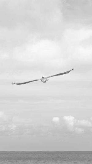 冒险岛希纳斯截图3