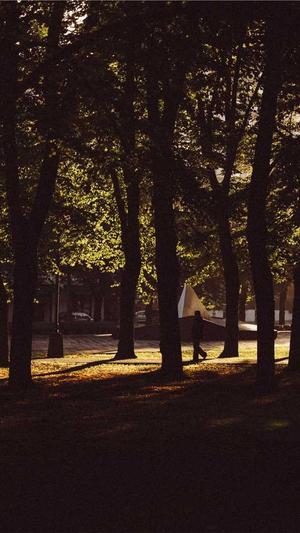 dnf蓝拳加点截图4