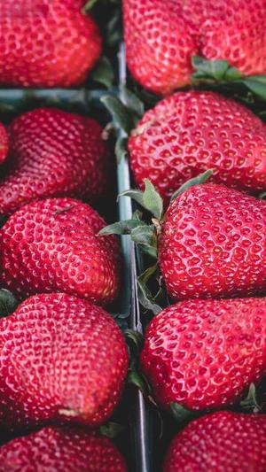 最新私服传奇截图2