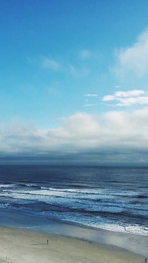 新白娘子传奇歌曲截图2