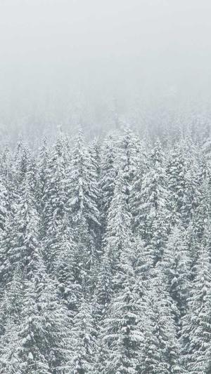 dnf超时空之战截图1