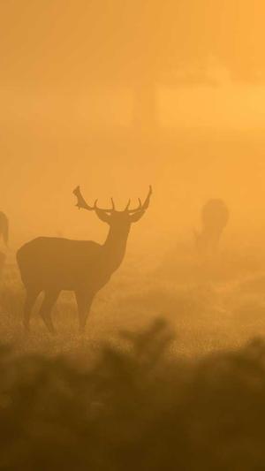 dnf韩服官网截图3