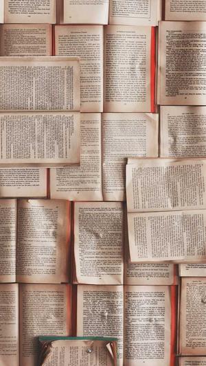 冒险岛挂机3天200级截图2