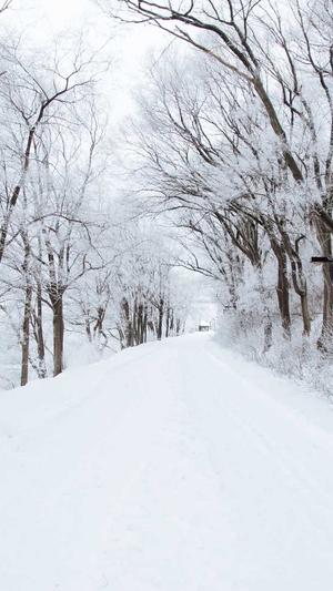 冒险岛宠物训练技能截图4