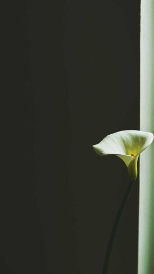 dnf剑魂刷图加点截图1