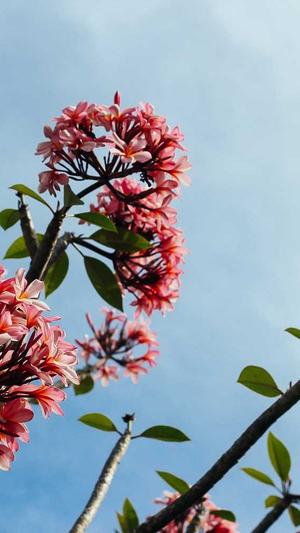 1.76复古精品传奇截图1