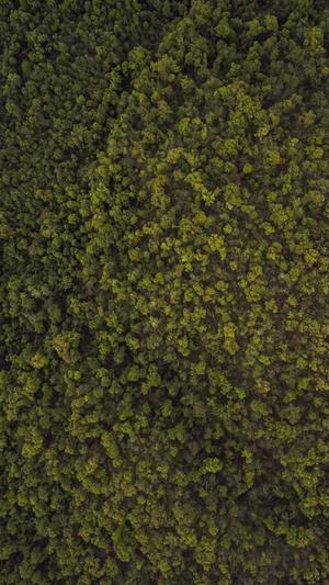 风云传奇私服截图1