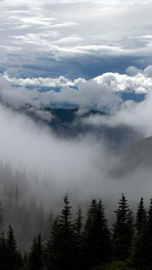 冒险岛蘑菇仔哪里多截图1